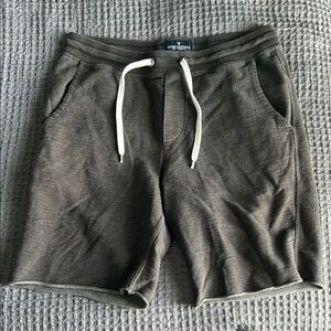 American Eagle Men's Gray Shorts